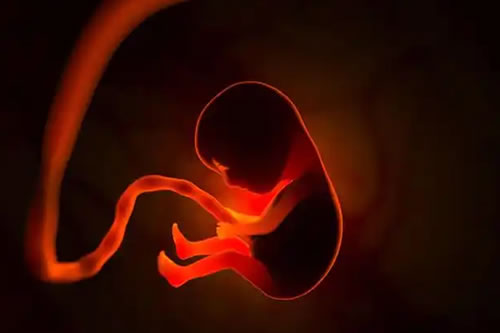 婴灵超度：化解未出世者的怨念