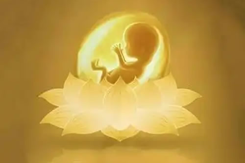 超度婴灵：为何需要特殊仪式？