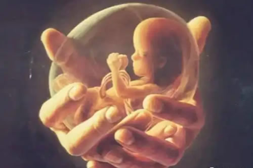 道教婴灵超度：从慈悲到解脱的终极意义